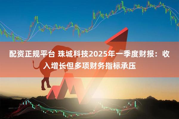 配资正规平台 珠城科技2025年一季度财报：收入增长但多项财务指标承压